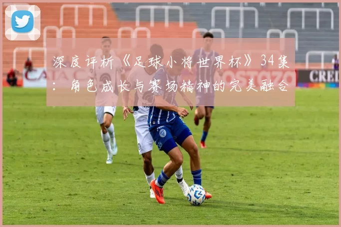 深度评析《足球小将世界杯》34集:角色成长与赛场精神的完美融合