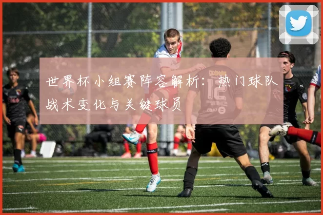 世界杯小组赛阵容解析:热门球队战术变化与关键球员