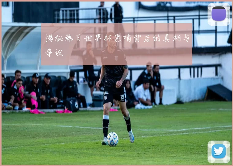 揭秘韩日世界杯黑哨背后的真相与争议