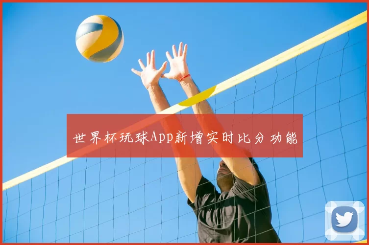 世界杯玩球App新增实时比分功能