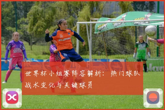 世界杯小组赛阵容解析:热门球队战术变化与关键球员