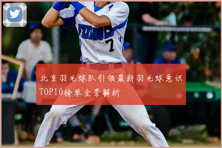 北京羽毛球队引领最新羽毛球意识TOP10榜单全景解析