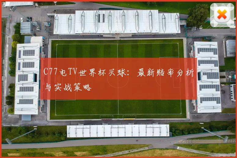 C77电TV世界杯买球：最新赔率分析与实战策略