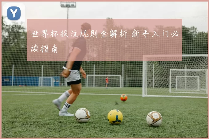 世界杯投注规则全解析 新手入门必读指南