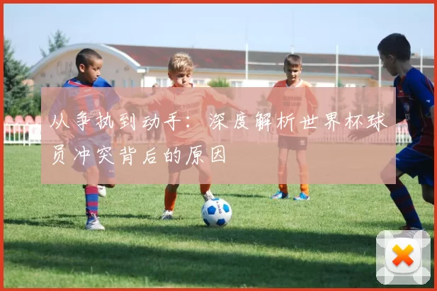从争执到动手:深度解析世界杯球员冲突背后的原因