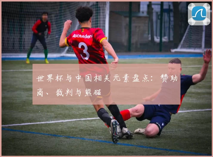 世界杯与中国相关元素盘点：赞助商、裁判与熊猫