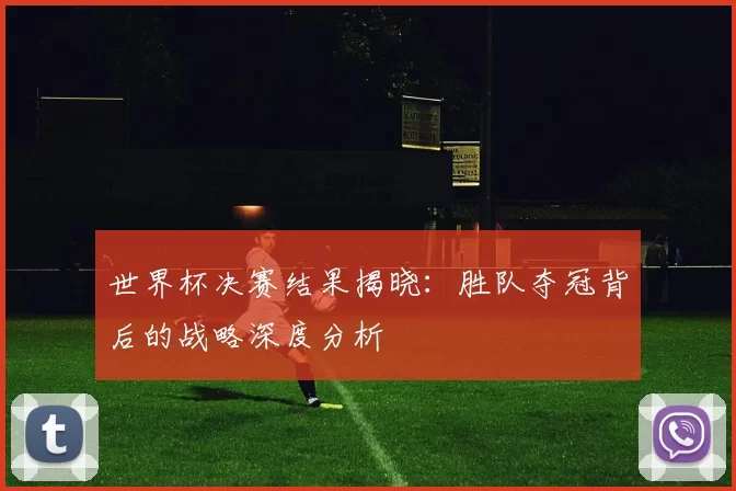 世界杯决赛结果揭晓:胜队夺冠背后的战略深度分析